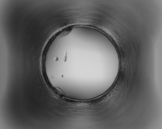 X0000092241085200710121232