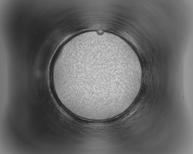 X0000092241087200710121232