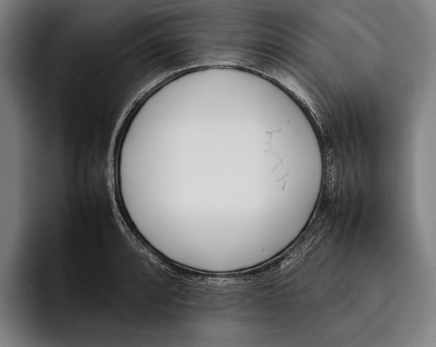 X0000092241088200710121232