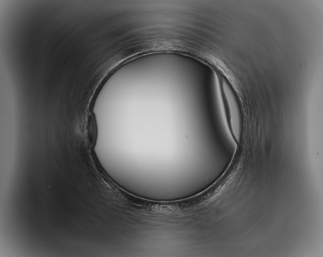 X0000092241089200710121232