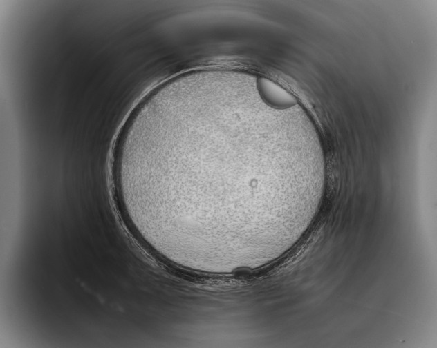 X0000092241091200710121232