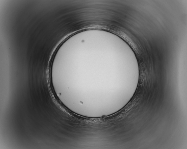 X0000092241092200710121232