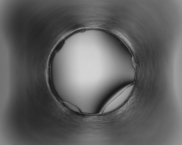 X0000092241093200710121232