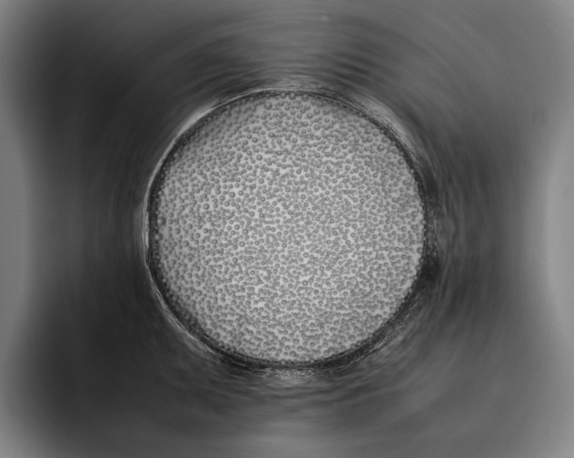 X0000092241095200710121232