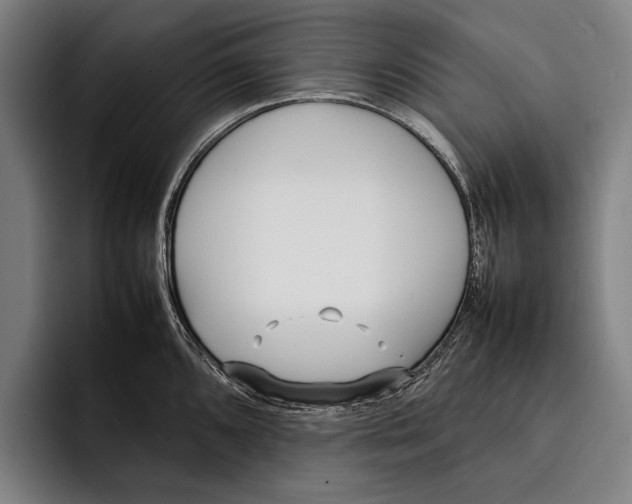 X0000092241096200710121232