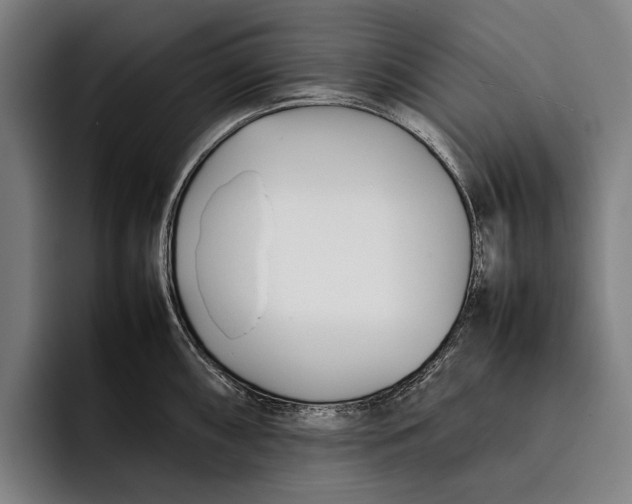X0000092241098200710121232
