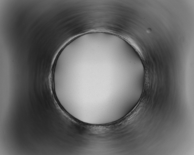 X0000092241100200710121232