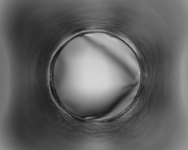 X0000092241101200710121232