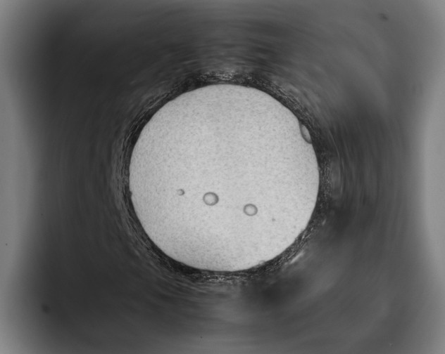 X0000092241105200710121231