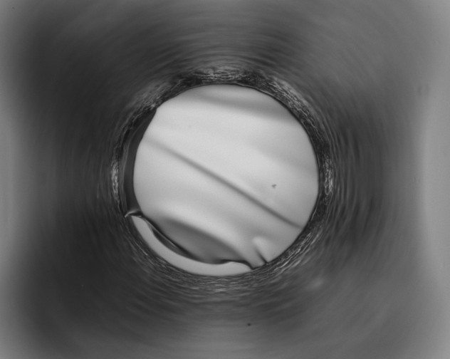 X0000092241108200710121231