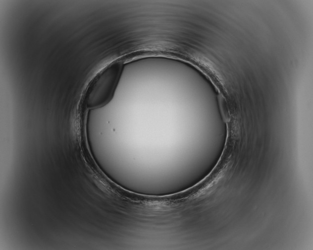 X0000092241114200710121231