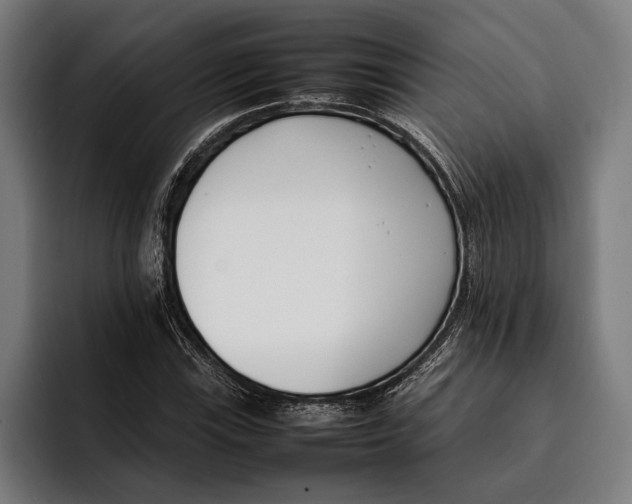 X0000092241115200710121231