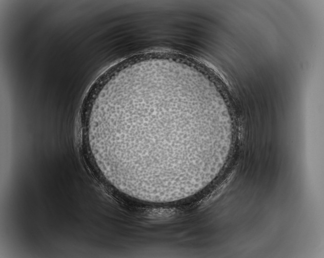 X0000092241117200710121232