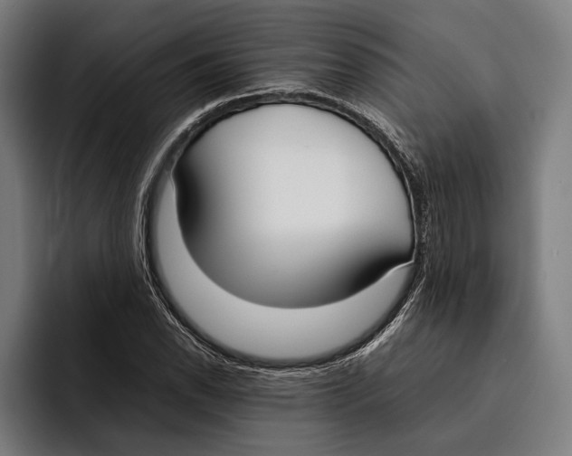 X0000092241118200710121232