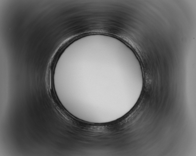 X0000092241123200710121232