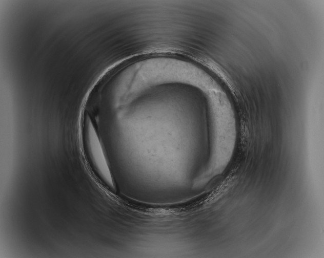 X0000092241124200710121232
