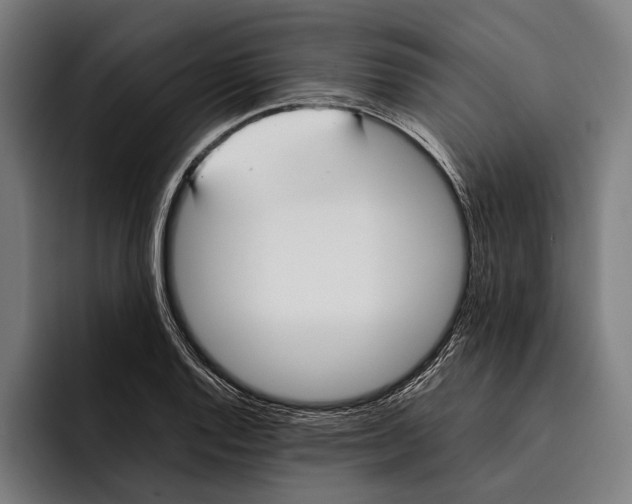 X0000092241128200710121232