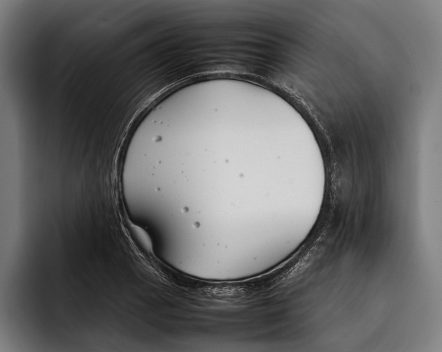 X0000092241129200710121232