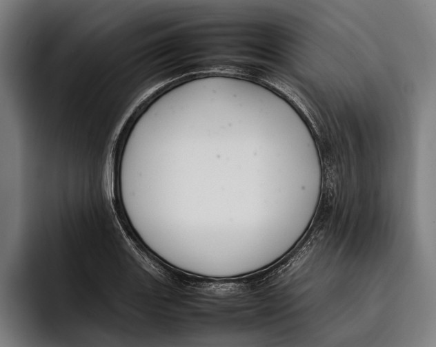 X0000092241131200710121232