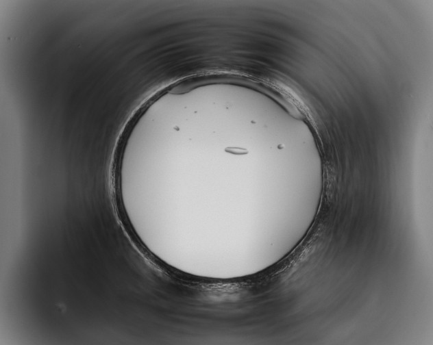 X0000092241141200710121232