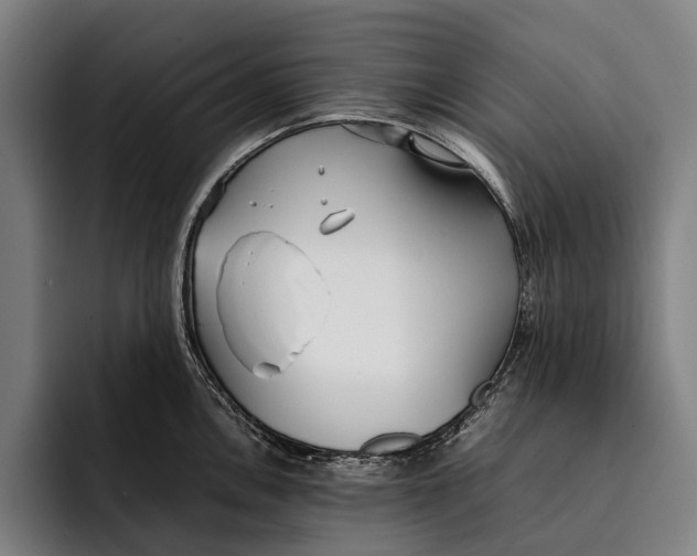 X0000092241146200710121232