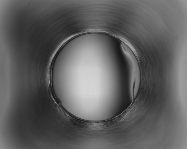 X0000092241148200710121232