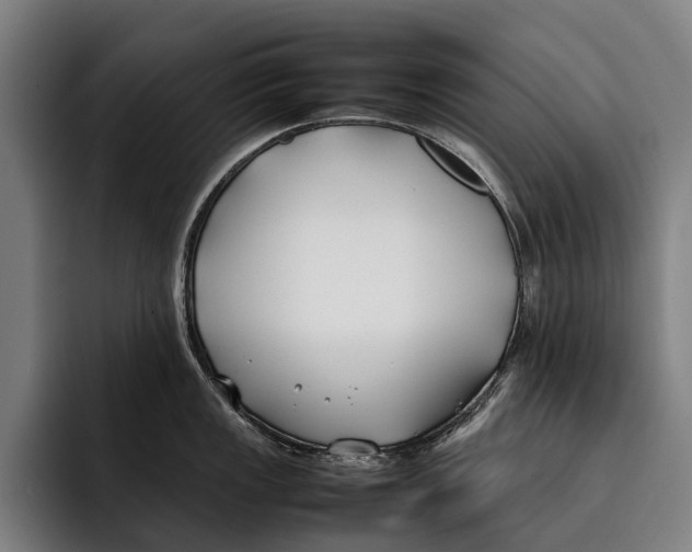 X0000092241149200710121232