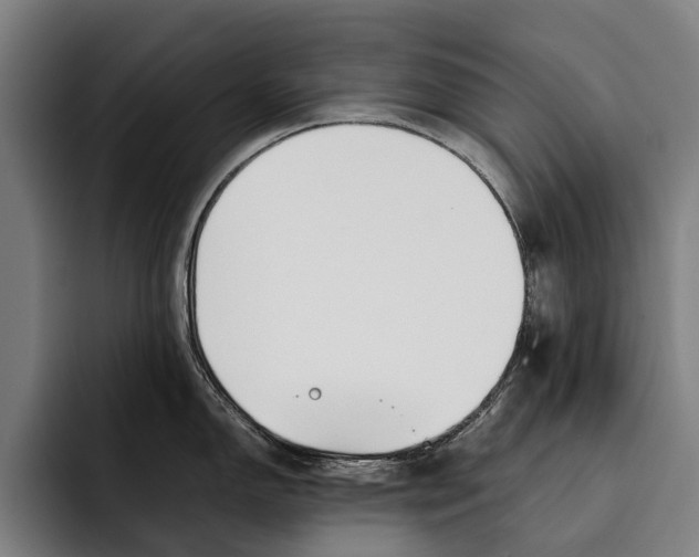X0000092241150200710121232