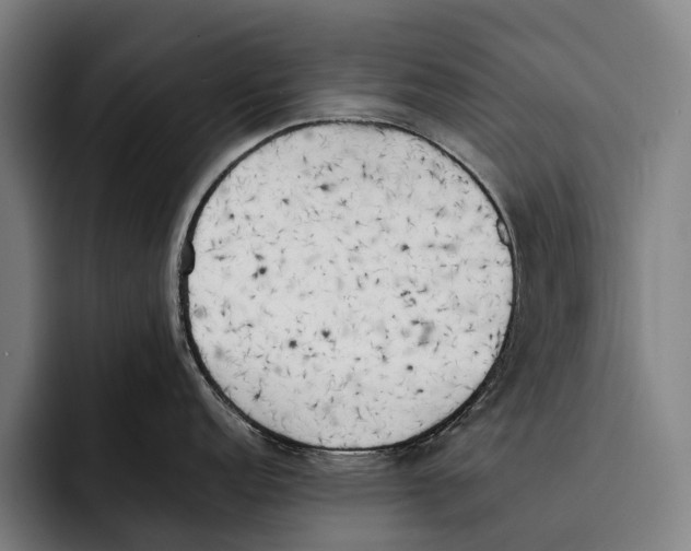 X0000092241152200710121232