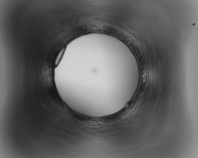X0000092241156200710121231