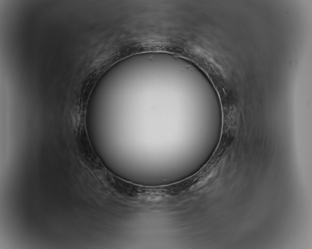 X0000092241157200710121231
