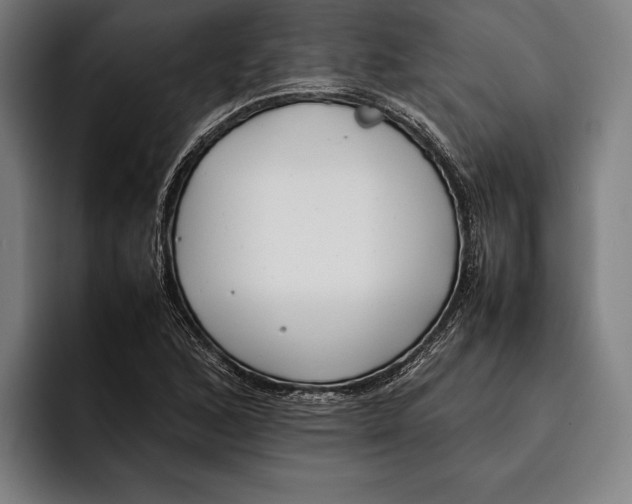 X0000092241168200710121231