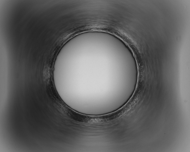 X0000092241169200710121231