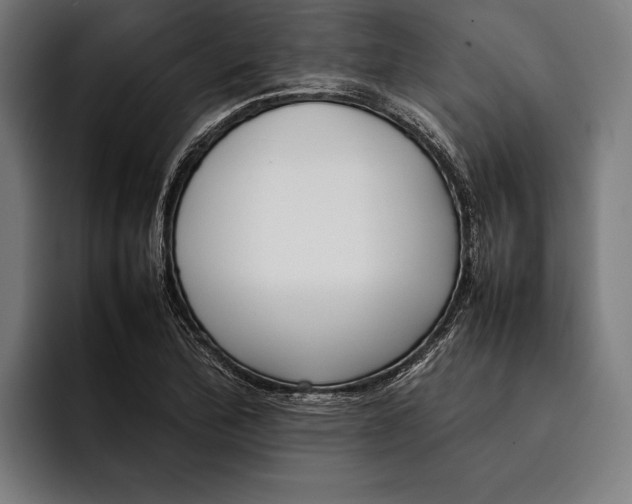 X0000092241172200710121231