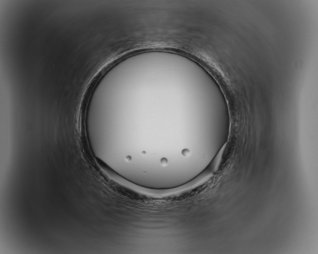 X0000092241173200710121231