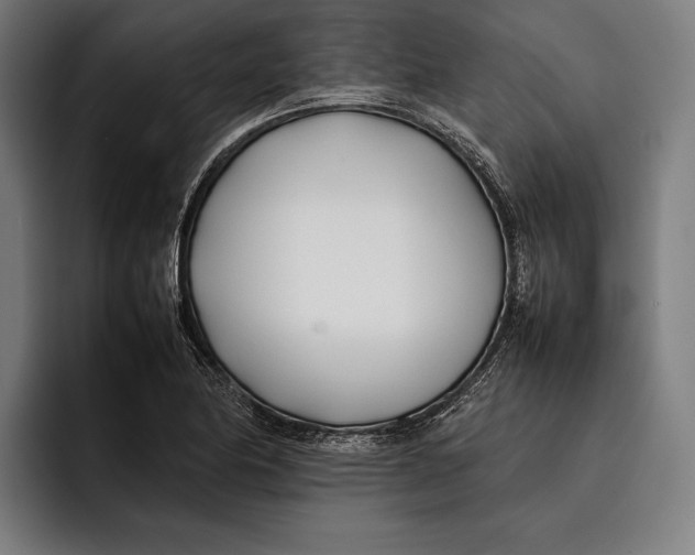 X0000092241174200710121231
