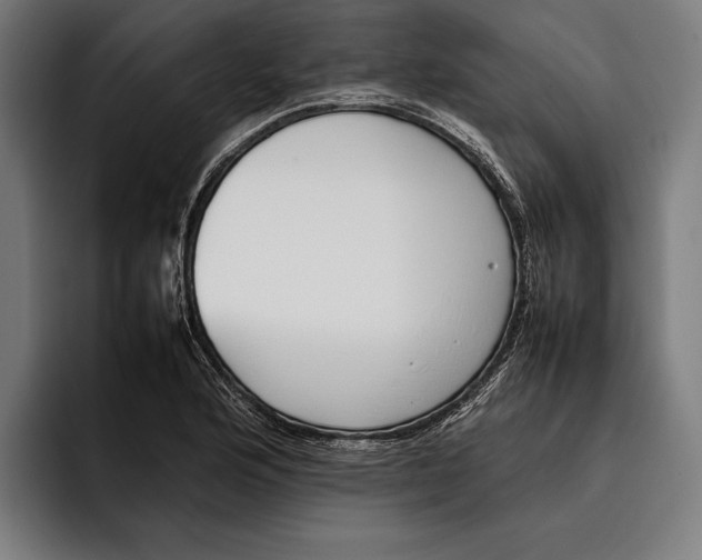 X0000092241176200710121231