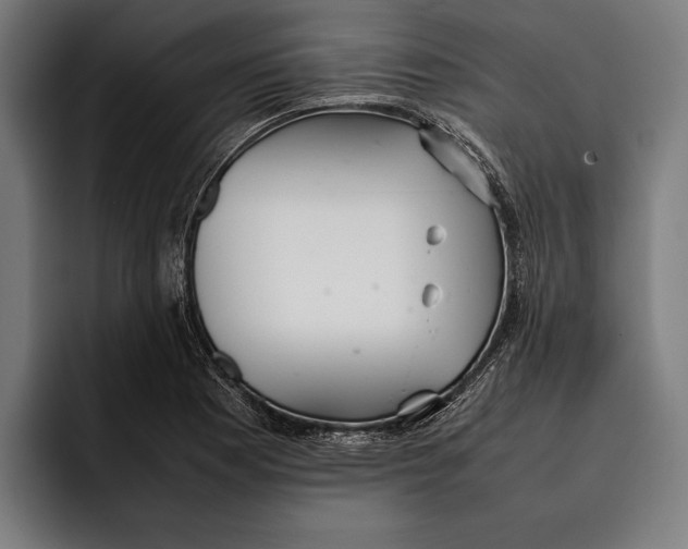 X0000092241177200710121231