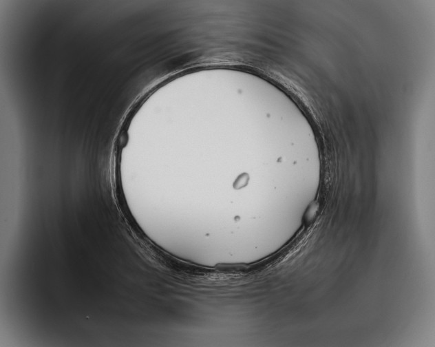 X0000092241179200710121231