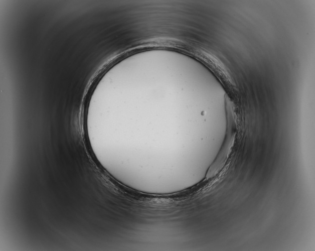 X0000092241180200710121231