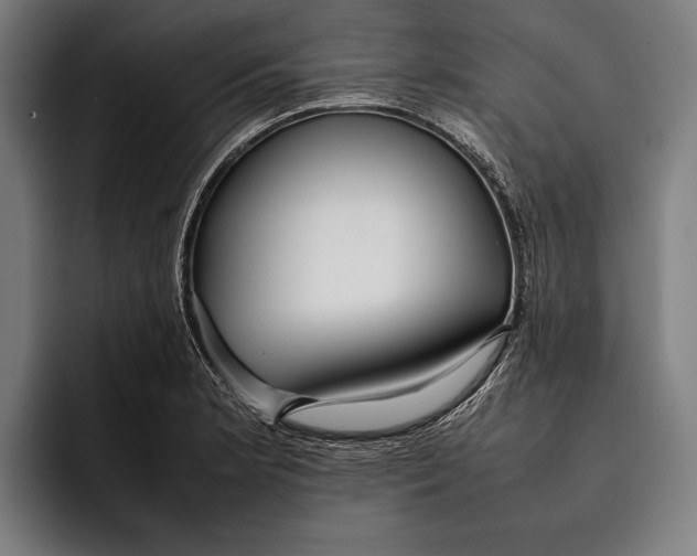 X0000092241181200710121231