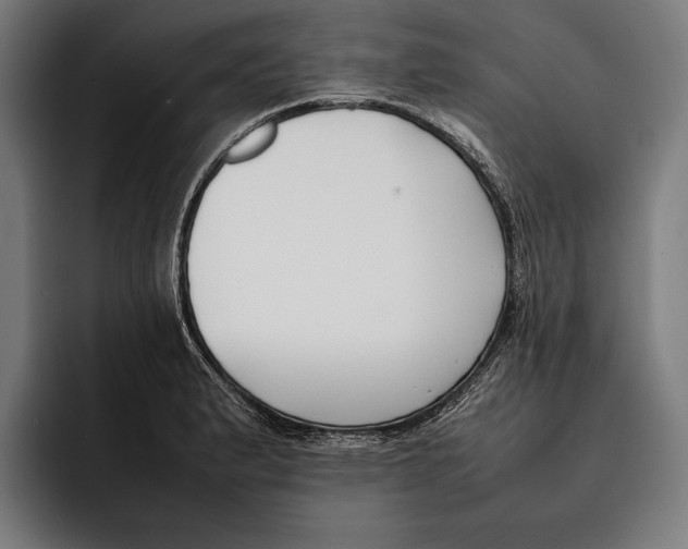 X0000092241183200710121231