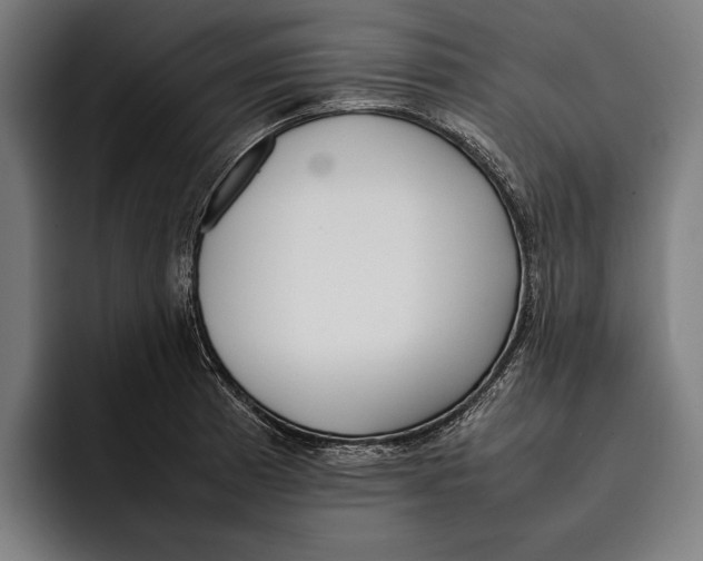 X0000092241185200710121231