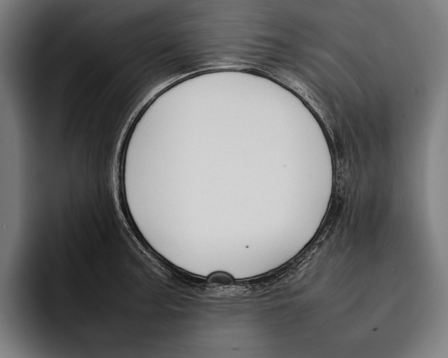 X0000092241187200710121231