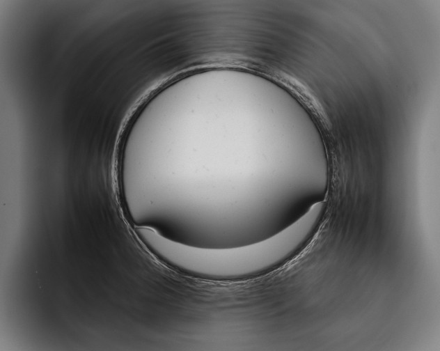 X0000092241188200710121231