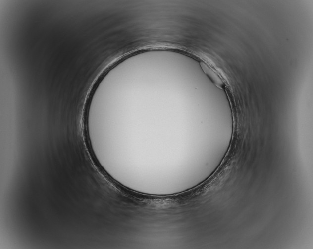X0000092241189200710121231