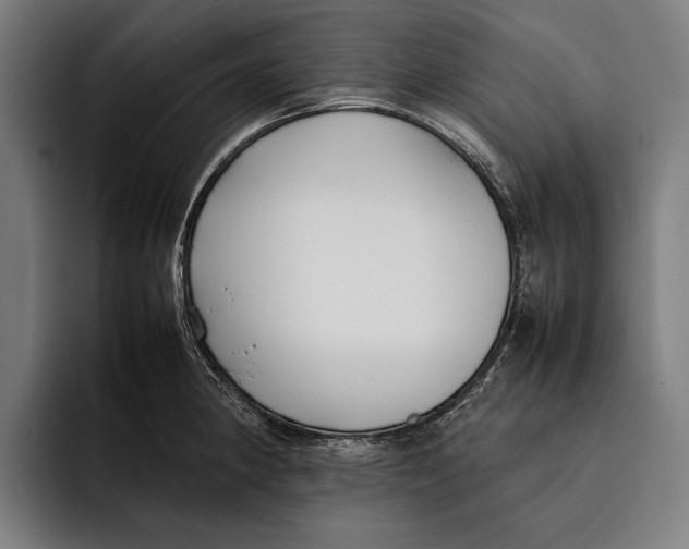 X0000092241190200710121231