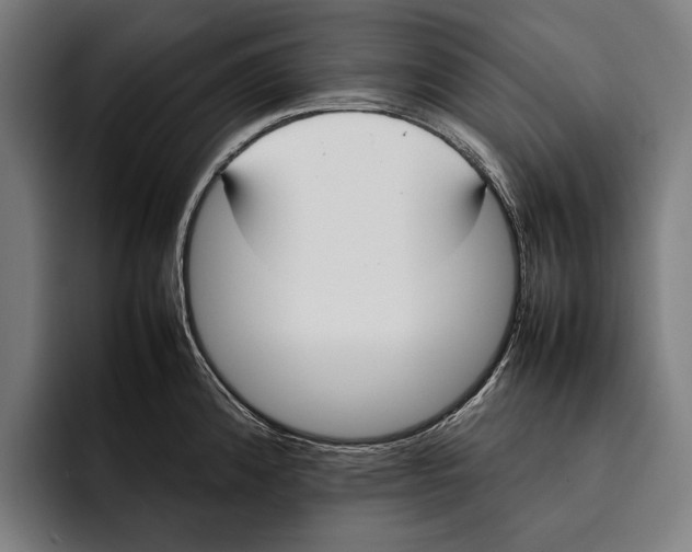 X0000092241192200710121231