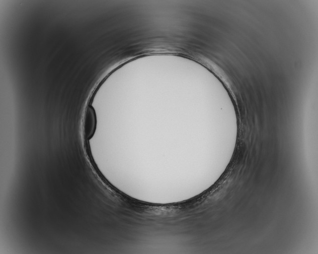 X0000092241195200710121231