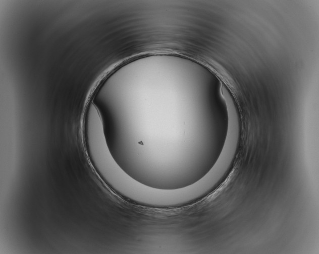 X0000092241196200710121231